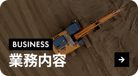 bnrhalf_business_off
